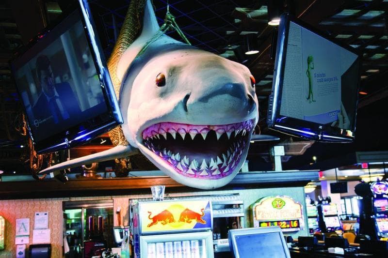 Hollywood Casino Resorts Tunica photo 1