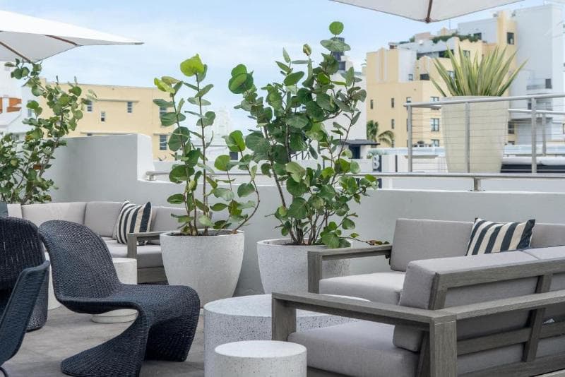 Nassau Suite Hotel 4