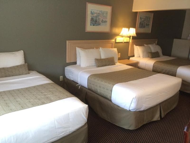 El Castell Motel 4
