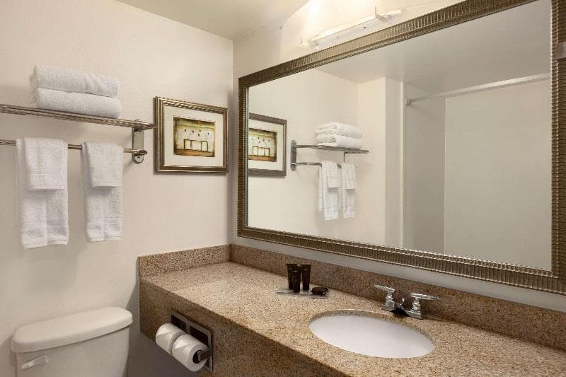 Wingate by Wyndham Montgomery 4