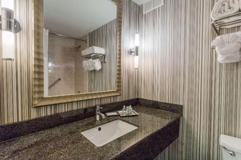 Wyndham Garden Norfolk Downtown 3