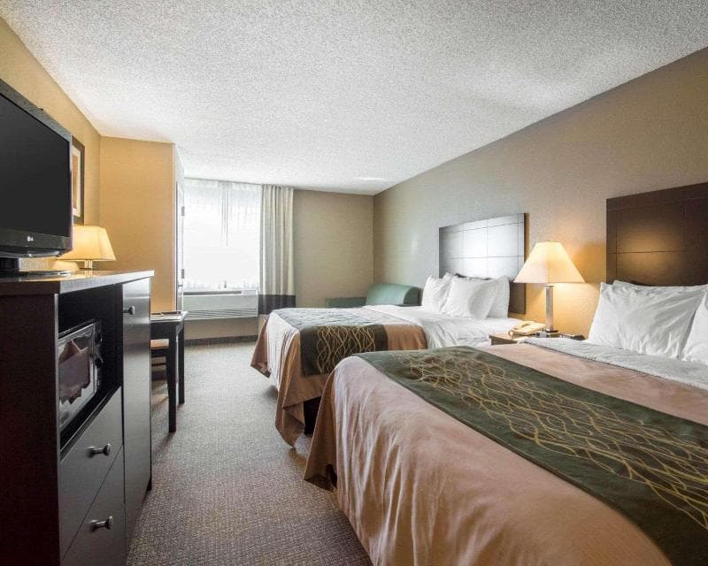 Comfort Inn Saugerties 3