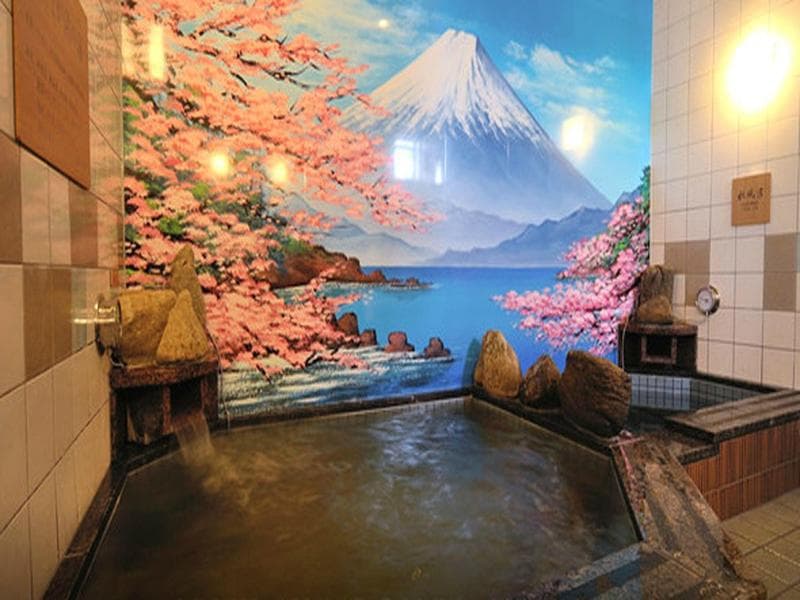 Dormy Inn Soga Natural Hot Spring 5