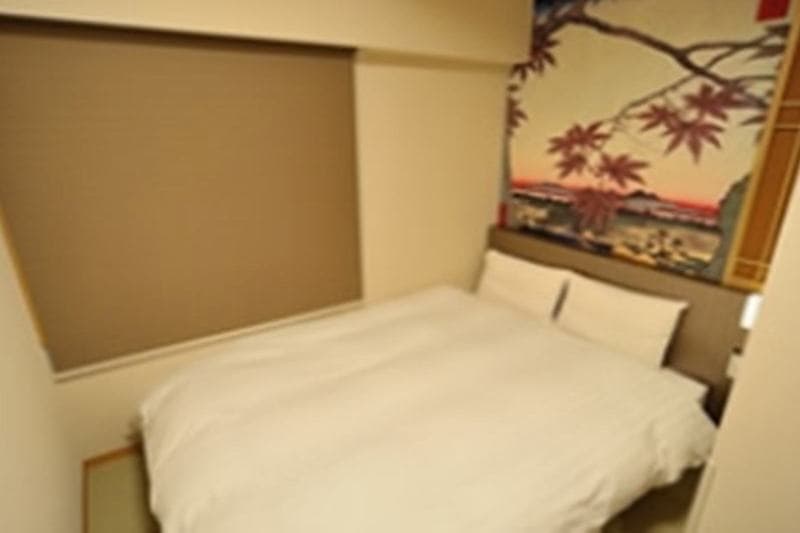Dormy Inn Akihabara 5