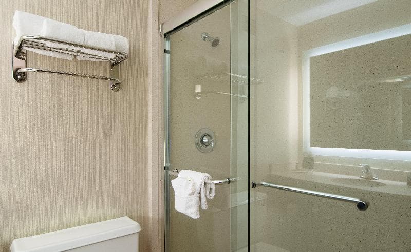 Holiday Inn Nashville-Vanderbilt (Dwtn) 2