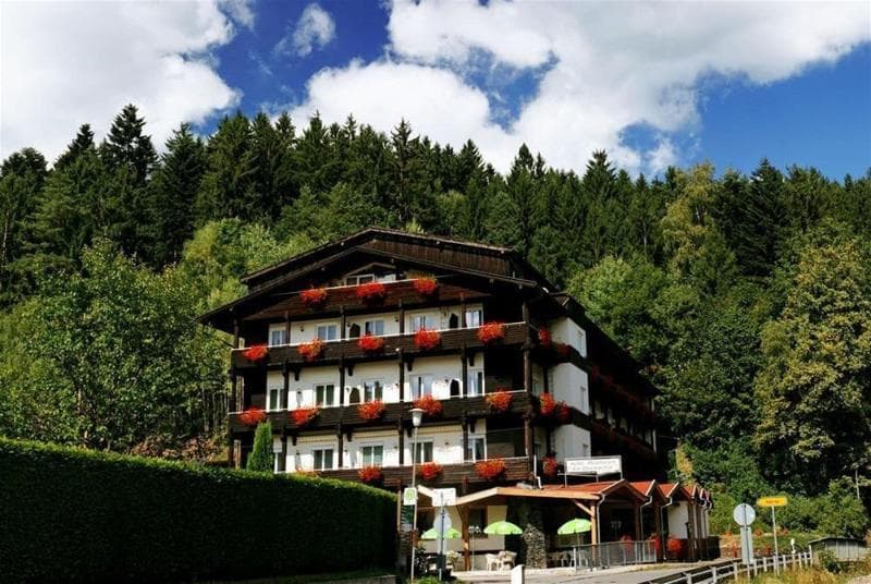 Am Steinbachtal (Adults Only) 5