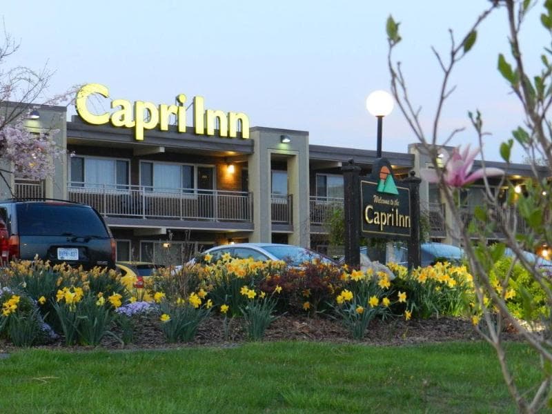 Capri Inn 4