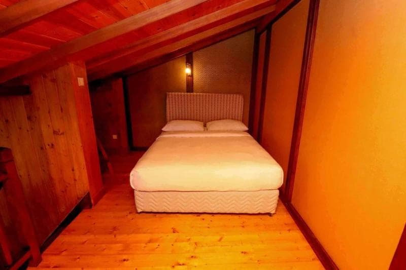 Alpine Hotel 5
