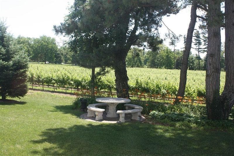 Riverbend Inn & Vineyard 2