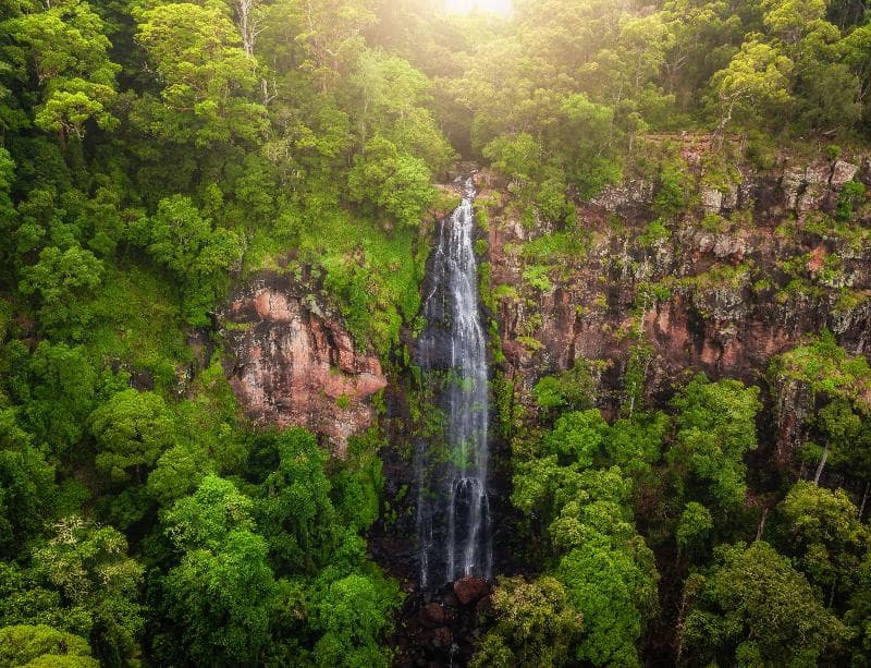 Binna Burra Mountain Lodge 3