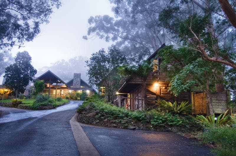 Binna Burra Mountain Lodge photo 1