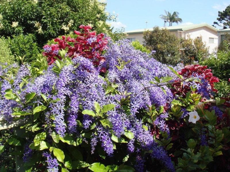 Camelot Cottages And B&B (Adults Only) 4