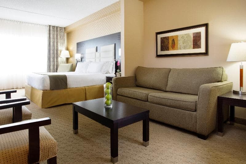 Holiday Inn Express & Suites Ottawa West - Nepean 3