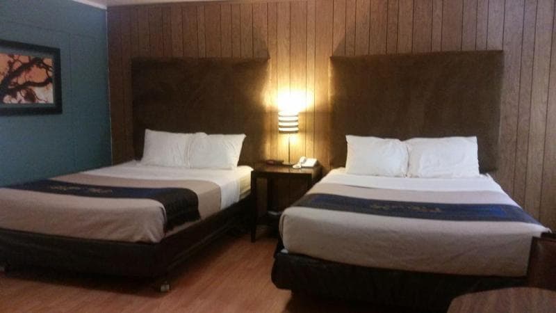 The Gold Lodge main