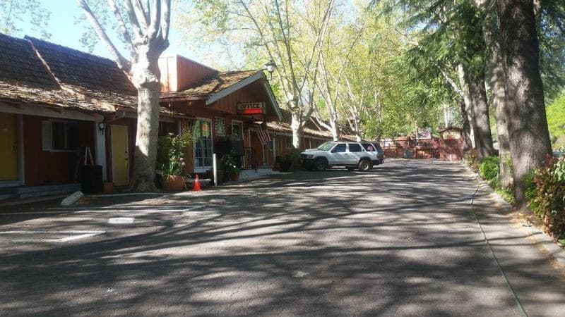 The Gold Lodge photo 1