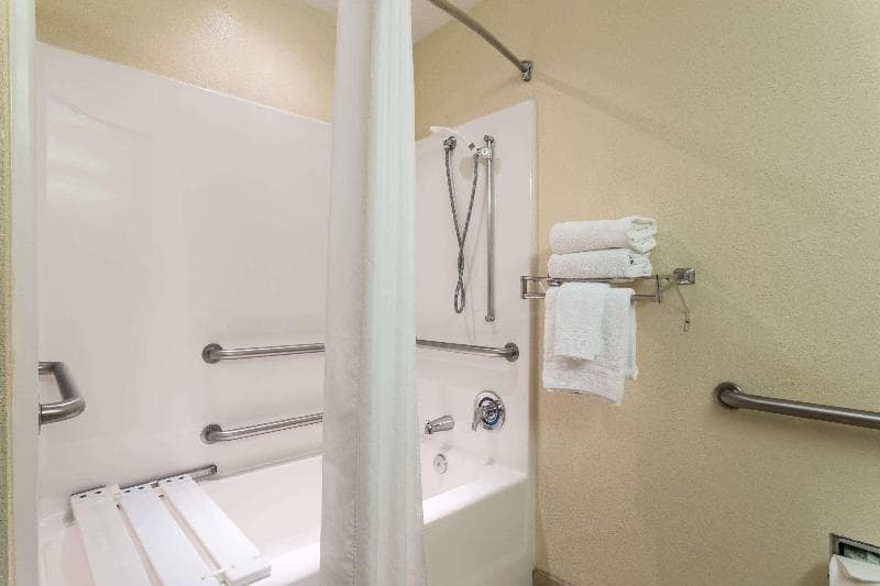 Microtel Inn & Suites by Wyndham Ocala 4