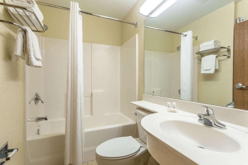 Microtel Inn & Suites by Wyndham Ocala 5