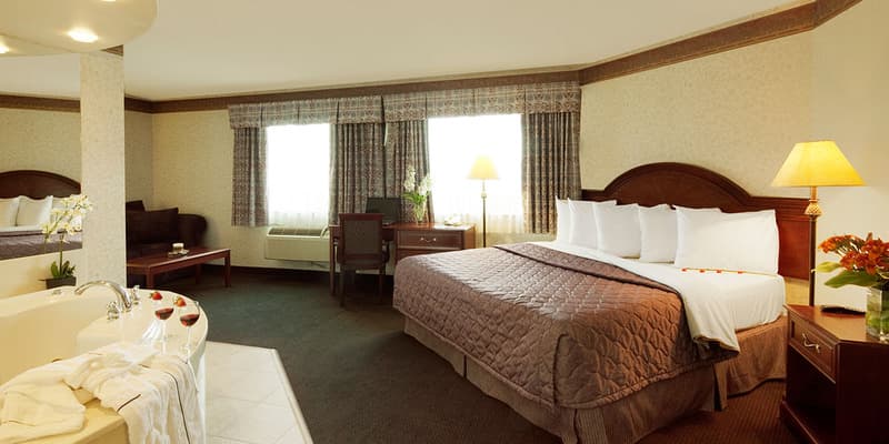 Stay Inn 3