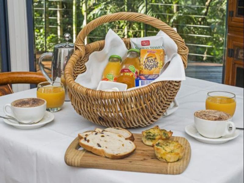 Pethers Rainforest Retreat (Adults Only) 5