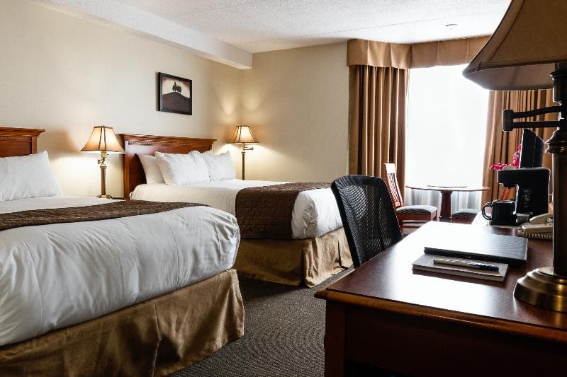 Welcominns Ottawa 4
