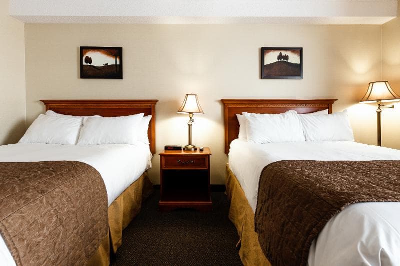 Welcominns Ottawa 5