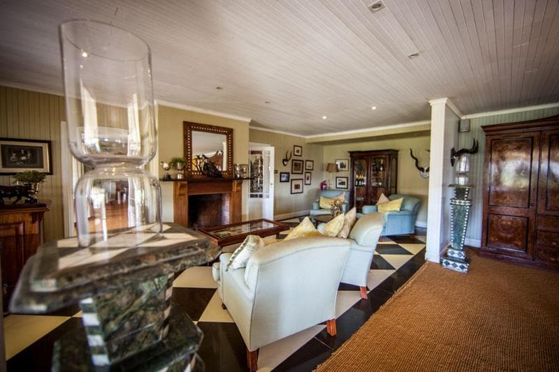 Camp Figtree (Adults Only) 5