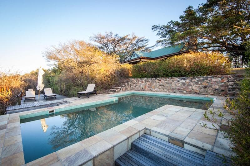 Camp Figtree (Adults Only) main