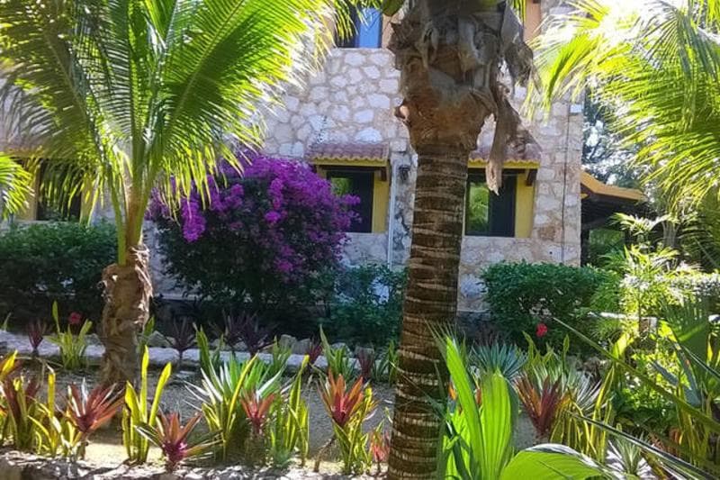 Casa De Las Tortugas I Tour Akumal main