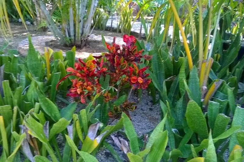 Casa De Las Tortugas I Tour Akumal 4