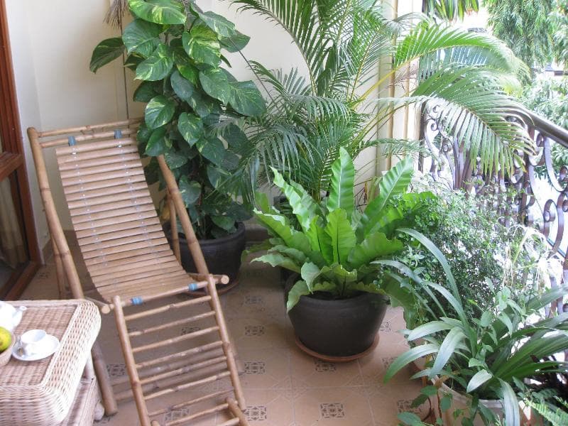 Comfort House 2