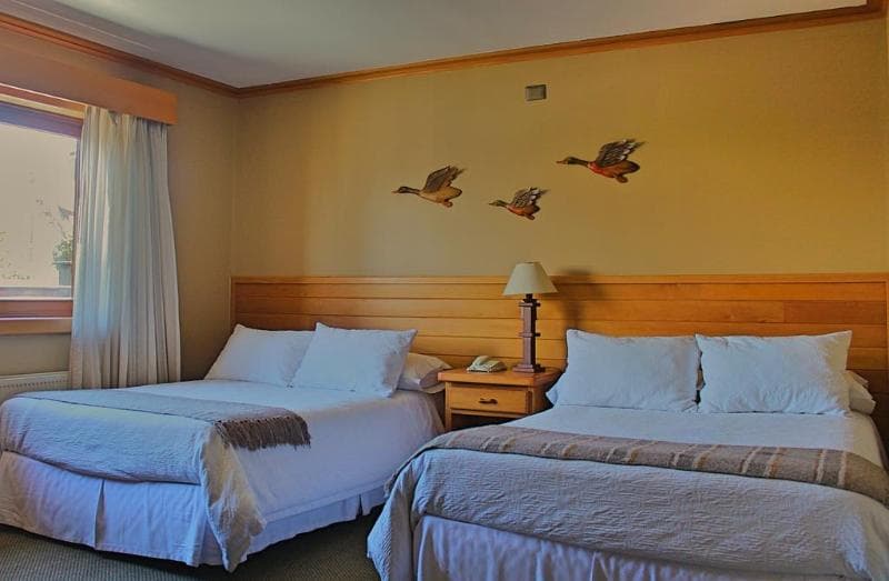 Hotel Puelche 4