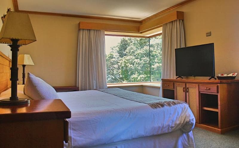 Hotel Puelche 5