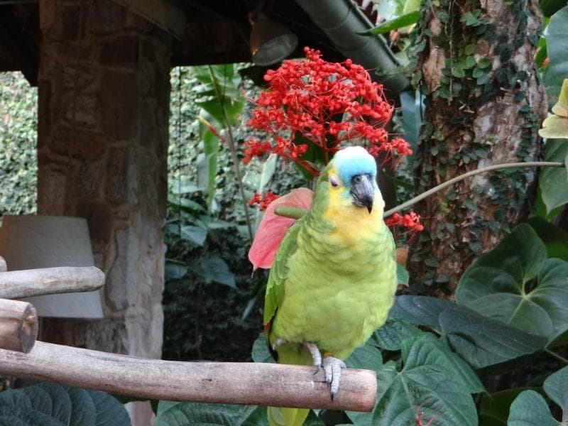 Eliconial Paraty Pousada (Adults Only) 3