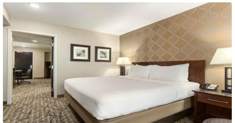 Holiday Inn Hotel & Suites Williamsburg-Historic Gateway 4