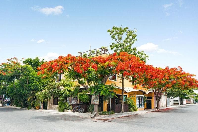 Maison Tulum 2