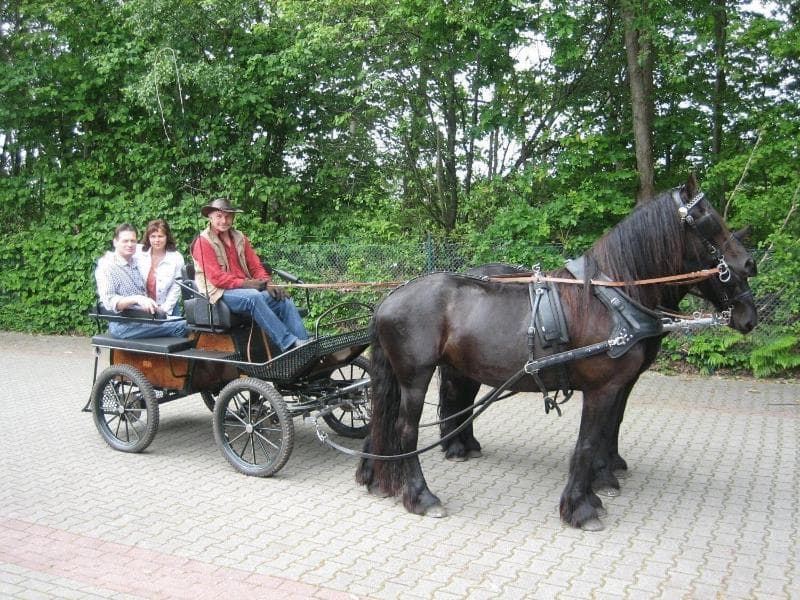 Hotel Graf Balduin main