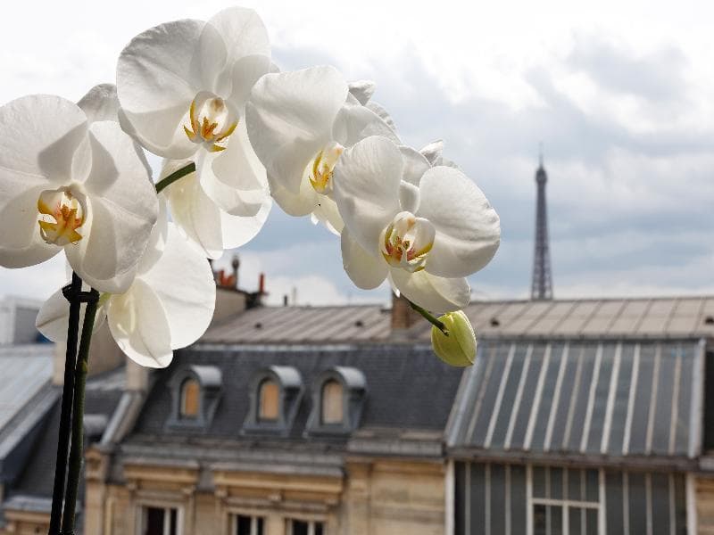 La Tremoille photo 1