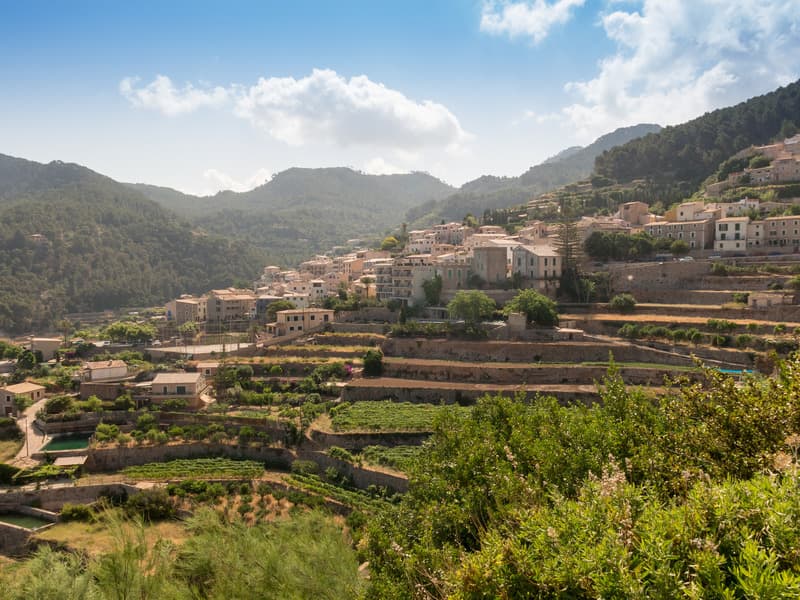 Baronia 2