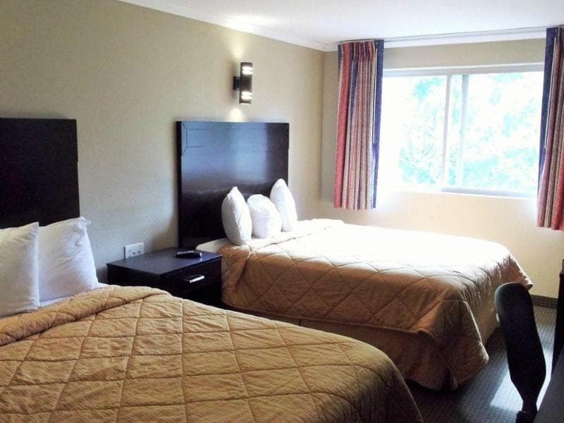 Downtown Value Inn 3