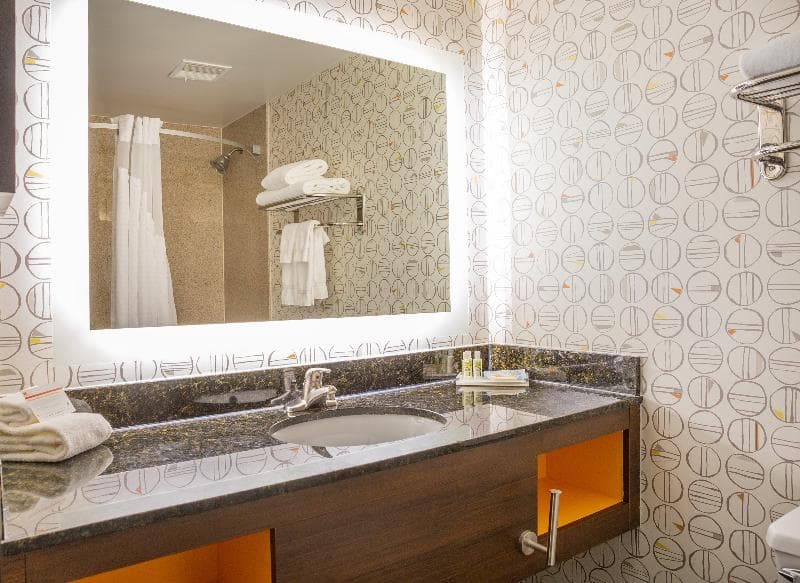 Holiday Inn Toledo-Maumee (I-80/90) 4