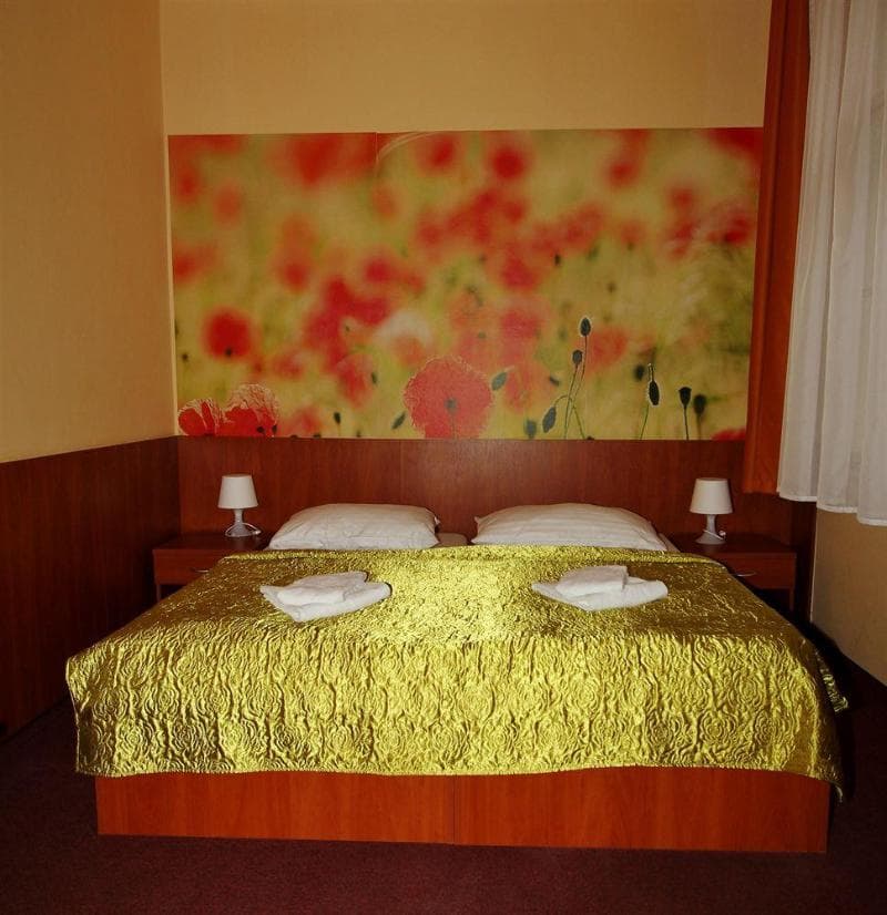 Hotel Zlatá Váha 5