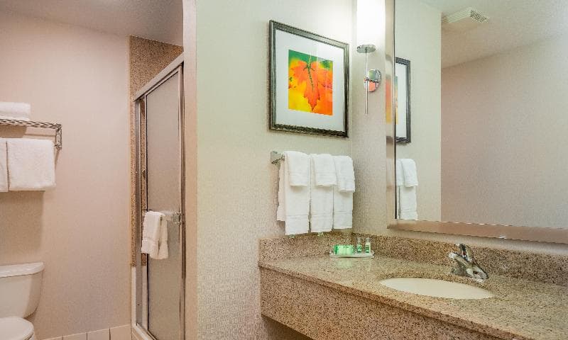 Holiday Inn Stevens Point - Convention Ctr 3