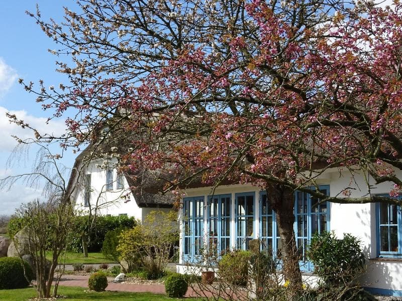 Landhotel Kastanienallee 5