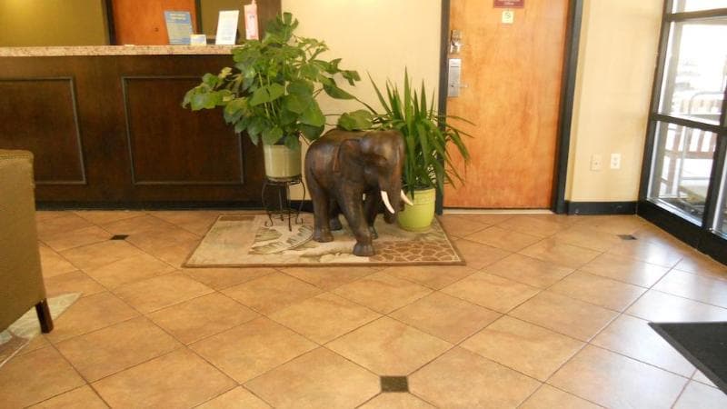 Quality Inn Middleboro-Plymouth 4