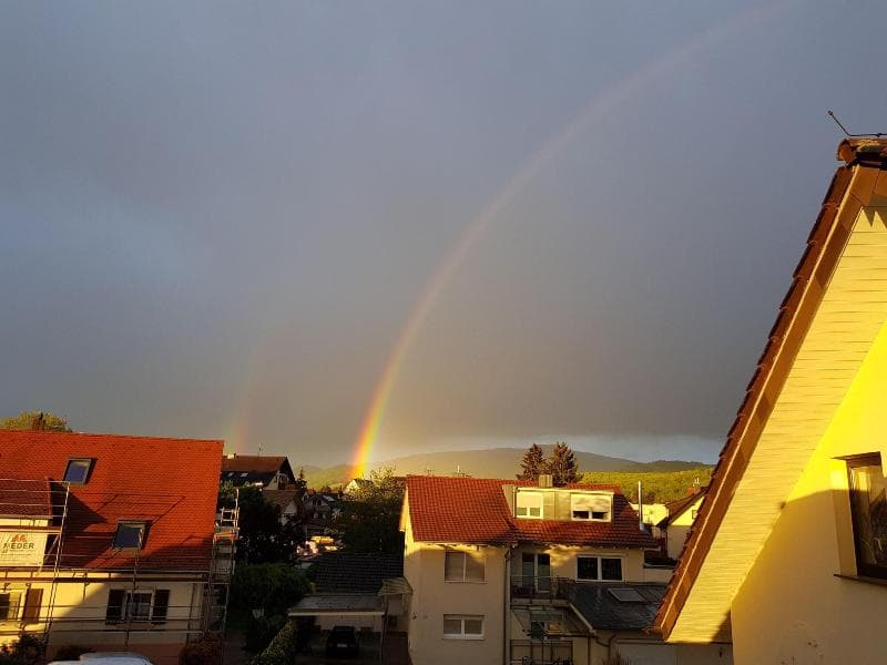 H41 Inn Hostel Freiburg Adults Only 4