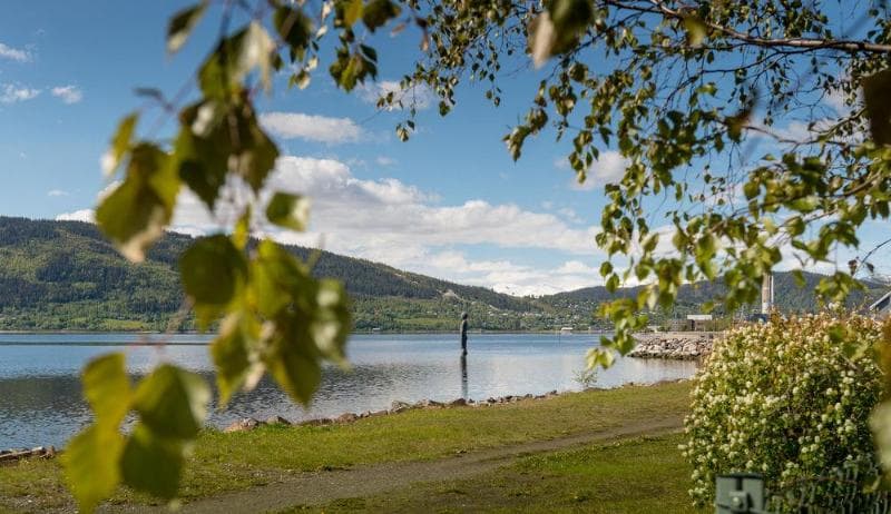 Fjordgaarden Mo photo 1