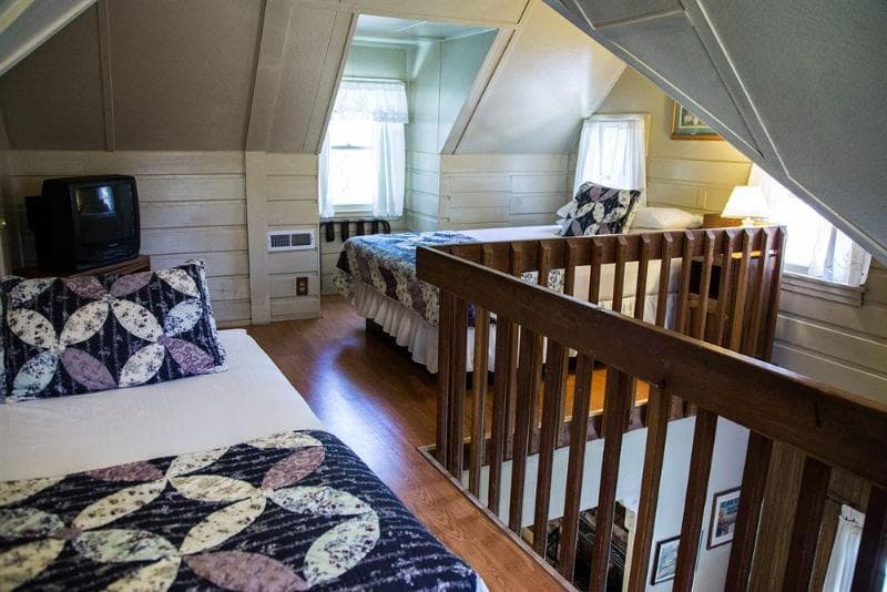 Sleepy Forest Cottages 5