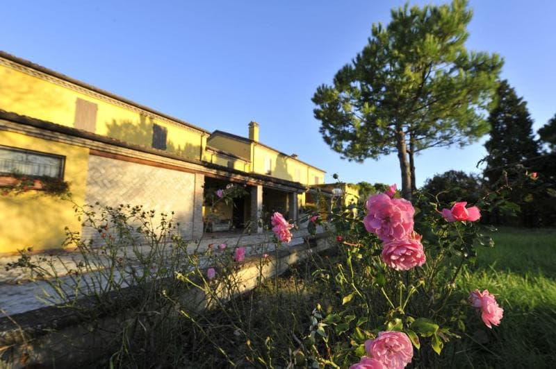 Il Podere Del Germano Reale 2