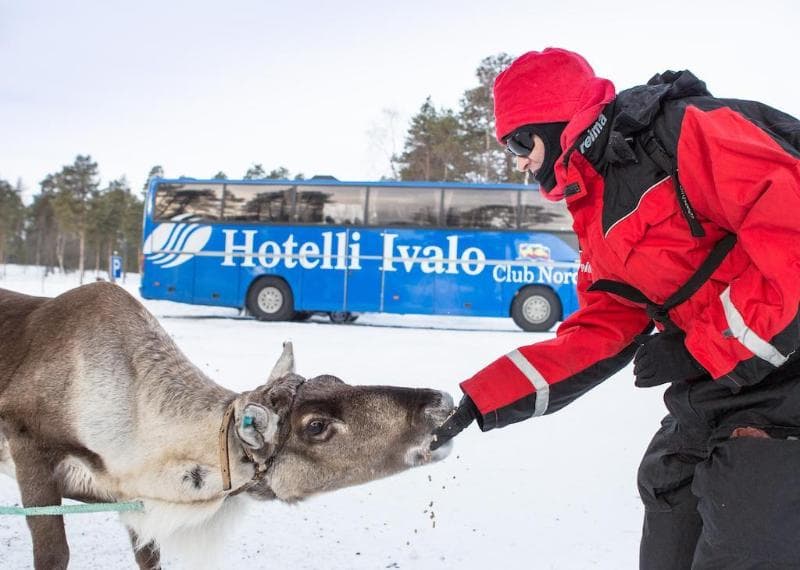 Hotel Ivalo 3