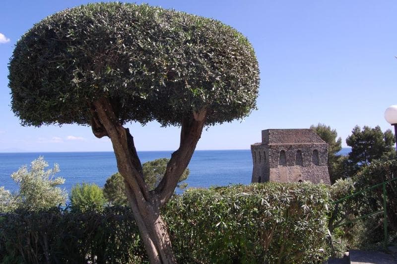Torre Turbolo main